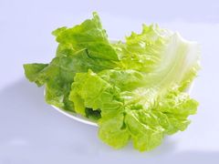 生菜-海底捞火锅(万科广场店)