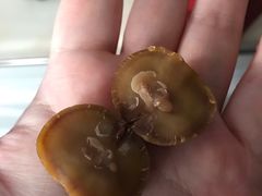 -二斗栗子(西湖道店)