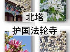 -护国法轮寺