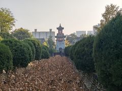 -四川大学(华西校区)