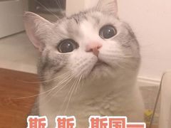 -海底捞火锅(铂澜大象城店)