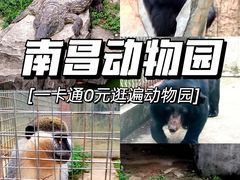 -南昌动物园