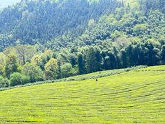 -敬亭山风景名胜区