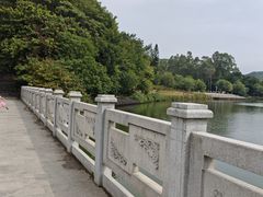 -南国桃园旅游度假区