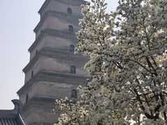 -大慈恩寺(大雁塔)