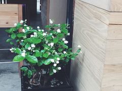 iphone_upload_pic-VOYAGE COFFEE(北锣鼓巷店)