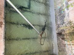 -姥家大锅台水库渔家