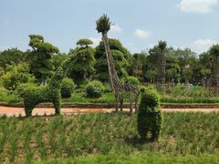 -武汉紫薇都市田园