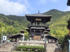 -大唐贡茶院