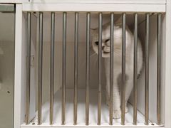 -沐沐家宠物(成寿寺店)