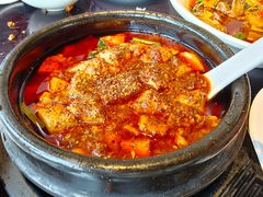 -陈麻婆豆腐总店