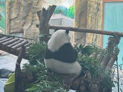 -青藏高原野生动物园