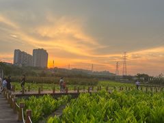 -南宁南湖公园