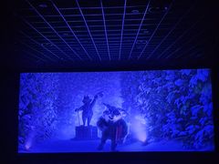 -博纳国际影城IMAX(中央大道店)