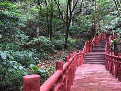 -广州市石门国家森林公园