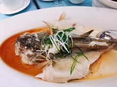 清蒸鲈鱼-青螺餐厅·家宴(松雅湖店)