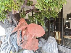 -院里寻菜·精致庭院菜(观沙岭店)