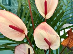 -南堂馆·新川菜(春熙路店)