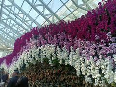 -石家庄市植物园