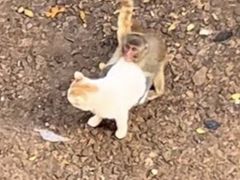 -昆明动物园