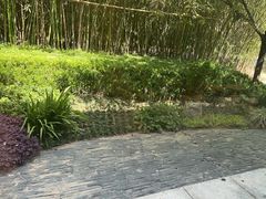 -西安凯悦酒店·湖畔中餐厅