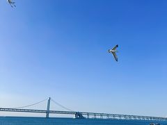 -星海广场
