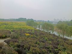 -云居湖