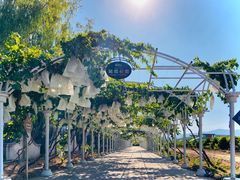 -龙谕酒庄