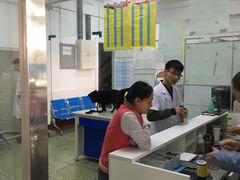 -成都民大动物医院