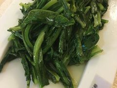 油麦菜-楼兰印象(朝外店)