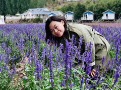 -紫海香堤香草艺术庄园