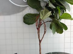 -混果汁(福田领展中心城店)