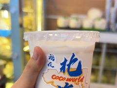 -椰吉满•鲜椰饮品(侨港黑金冠好店)