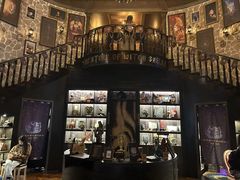 -雪灵魔法世界SHELLY’S TAROT(大良桂畔里店)