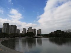 -新江湾城公园