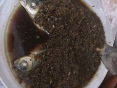 老闵田螺馆-老闵田螺馆·南昌特色(总店)