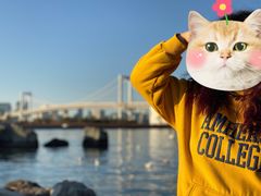 -台场海滨公园船码头