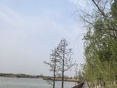 -九里湖国家湿地公园