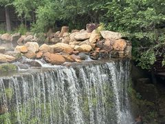 -汤旺河林海奇石景区