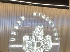 -TMG潮流健身(奥体莲荷里店)
