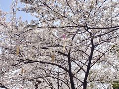 -堤角公园