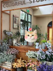 -七色田儿童摄影(静安店)
