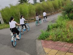 -洪湖家庭农场·团建·露营·会议