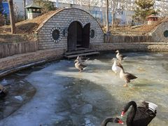 -南宫五洲植物乐园