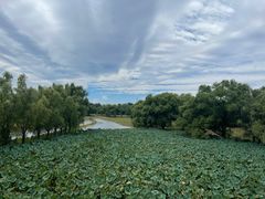 -北京麋鹿生态实验中心