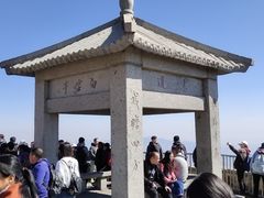 -赵记煎饼卷大葱(东岳店)