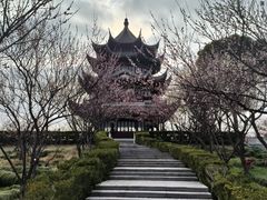 -上海海湾国家森林公园