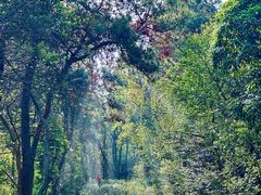-虞山风景区