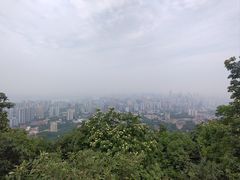 -南山植物园