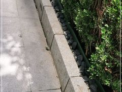 -谭鸭血老火锅(慈云寺店)